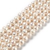 Natural Cultured Freshwater Pearl Beads Strands PEAR-L033-22-1