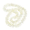 Electroplate Glass Beads Strands GLAA-K061-04A-FR01-2