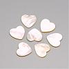 Natural White Shell Mother of Pearl Shell Cabochons SSHEL-R041-53-1