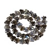 Natural Labradorite Beads Strands G-N371-10A-01-3