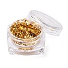 Foil Flakes X-DIY-E032-02C-1