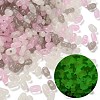 Luminous Transparent Acrylic Beads LACR-D009-01I-1