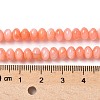 Natural Freshwater Shell Beads Strands SSHEL-C013-07A-4