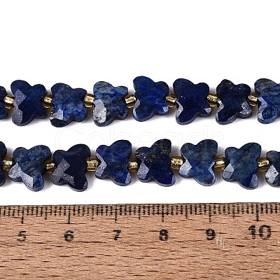 Dyed Natural Lapis Lazuli Beads Strands G-N371-10A-02-1