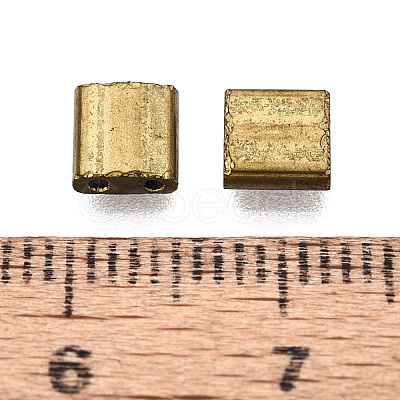 Electroplate Opaque Glass Seed Beads SEED-S023-20C-02-1