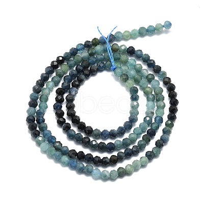 Natural Gradient Blue Tourmaline Beads Strands G-P457-A01-14A-1
