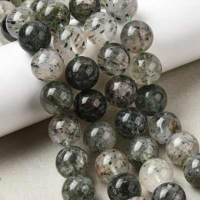 Natural Fuchsite Beads Strands G-K285-40D-1-1