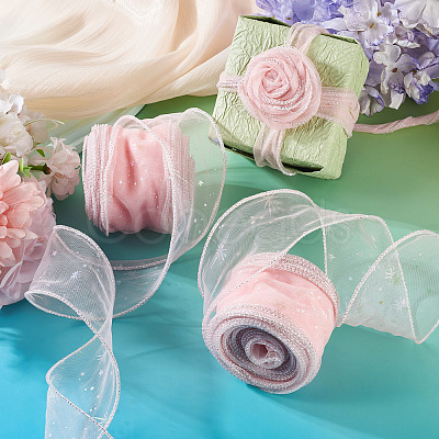 Polyester Deco Mesh Ribbons OCOR-TAC0024-004D-1