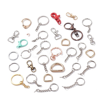 Alloy and Iron Keychain Clasps PALLOY-XCP0001-70-1