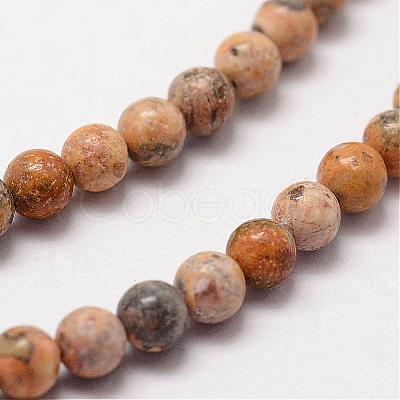 Natural Leopard Skin Jasper Beads Strands G-N0187-02-2mm-1