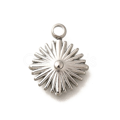 304 Stainless Steel Charms STAS-H165-22P-1