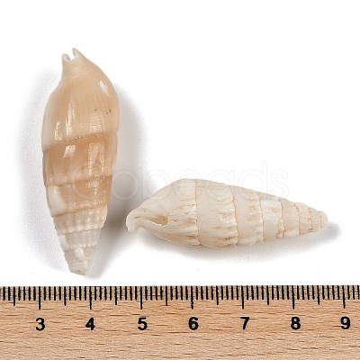 Natural Spiral Shell Beads SHEL-K009-17B-1