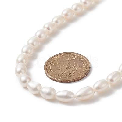 Natural Pearl Beaded Necklace for Women NJEW-JN04188-02-1