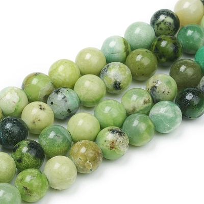 Natural Serpentine Beads Strands G-G829-06-8mm-1