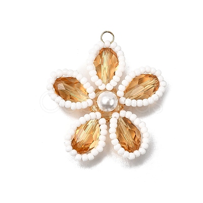Glass Pendants PALLOY-TA00313-04-1