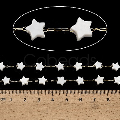 Handmade 304 Stainless Steel Shell Star Link Chains CHS-B011-01B-G-1