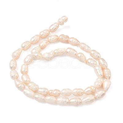 Natural Cultured Freshwater Pearl Beads Strands PEAR-D003-01D-16-1