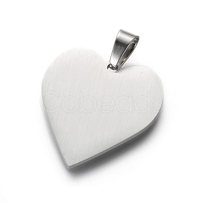Tarnish Resistant 304 Stainless Steel Pendants LS-STAS-F214-02P-1