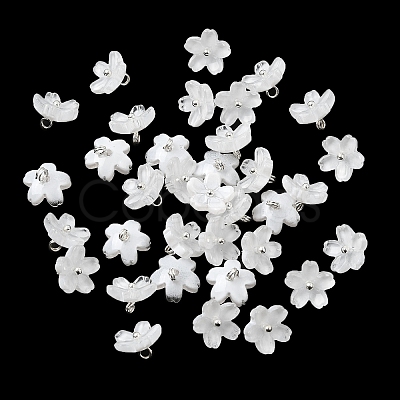 Glass Charms GLAA-G127-05J-1