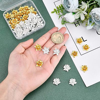 48Pcs 2 Colors 3D Brass Bead Caps KK-FH0002-42-1