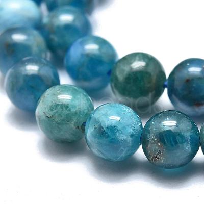 Natural Apatite Beads Strands G-O186-E02-6mm-1