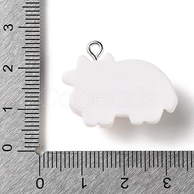 Opaque Resin Pendants RE-CBA3B4E-02B-1