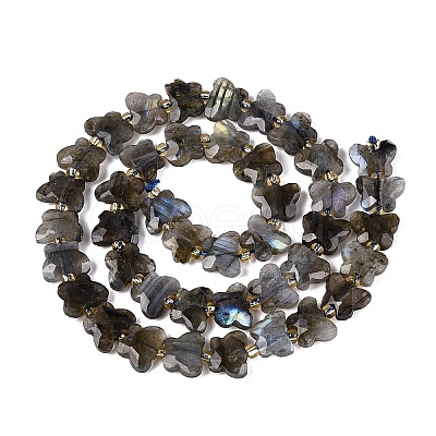 Natural Labradorite Beads Strands G-N371-10A-01-1