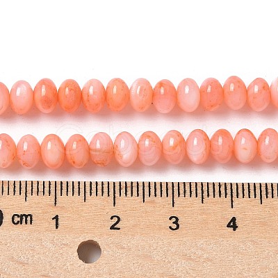 Natural Freshwater Shell Beads Strands SSHEL-C013-07A-1