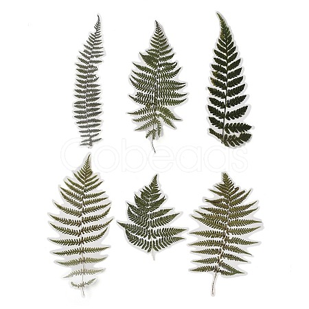 6Pcs Plant PET Adhesive Waterproof Stickers DIY-K074-01E-1
