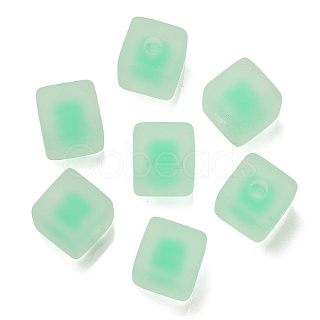 Frosted Acrylic European Beads OACR-G012-14B-1