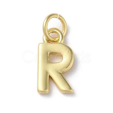 Rack Plating Brass Charms KK-P245-06G-R-1