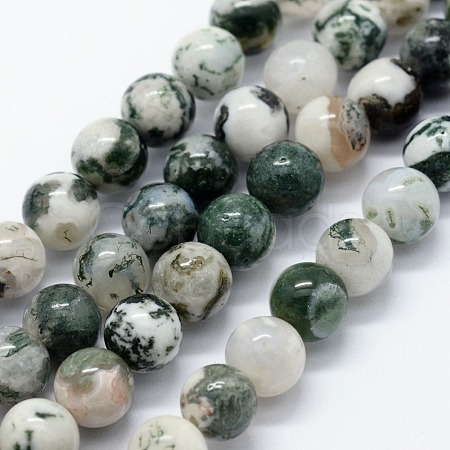 Natural Tree Agate Beads Strands X-G-I199-03-8mm-1