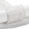 Natural Rainbow Moonstone Beads Strands G-J400-E12-01-2