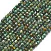Natural African Turquoise(Jasper) Beads Strands G-A260-A16-01-2