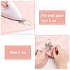 6Pcs 2 Style Star & Windmill Glitter Hotfix Rhinestone DIY-FG0002-26-5
