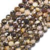 Natural Zebra Jasper Beads Strands G-K389-B69-01-2