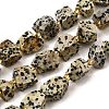 Raw Rough Natural Dalmatian Jasper Beads Strands G-Z087-A01-2