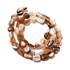 Natural Sea Shell Beads Strands SHEL-K006-16A-2