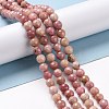 Natural Rhodonite Beads Strands G-E571-01A-4