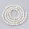 Natural White Moonstone Beads Strands G-T107-13-2
