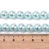 Electroplated Shell Pearl Beads Strands BSHE-G041-8mm-03-4
