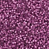 MIYUKI Delica Beads SEED-JP0008-DB2181-3