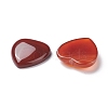 Natural Red Agate Cabochons G-P021-16-3