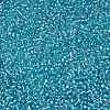 TOHO Round Seed Beads SEED-JPTR15-0023-2