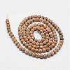 Natural Leopard Skin Jasper Beads Strands G-N0187-02-2mm-2