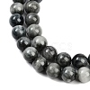 Natural Hawk's Eye Beads Strands G-S333-10mm-027-4