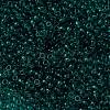 MIYUKI Round Rocailles Beads X-SEED-G008-RR2405-3