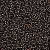 MIYUKI Round Rocailles Beads SEED-JP0008-RR0029-3