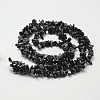 Natural Snowflake Obsidian Beads Strands X-G-F328-10-2