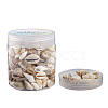 Trumpet Shell Beads BSHE-YW0001-03-4